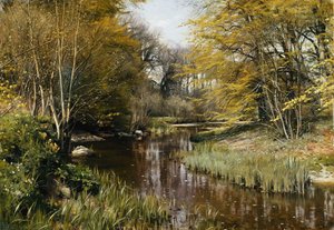 Waldige Flusslandschaft
