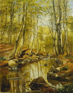 Bewaldete Flusslandschaft