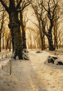 Eine bewaldete Winterlandschaft mit Hirschen