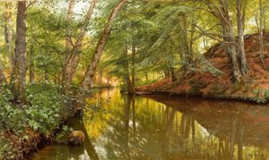 Frühlingstag am Waldbach