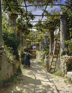 Im Schatten einer italienischen Pergola, ein warmer Nachmittag in Anacapri