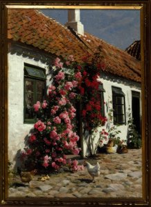 Kletterrosen am Bauernhof von Peder Monsted