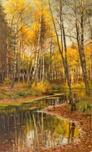 Birkenwald im Herbstlicht