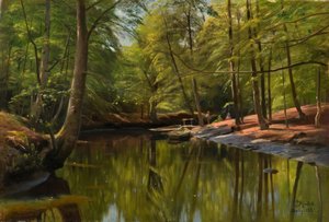 Sommertag am Waldbach