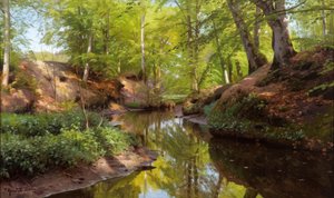 Sonniger Tag am Waldbach