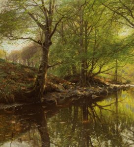 Waldbach im Frühling