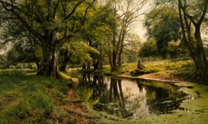 Stilles Wasser im Wald