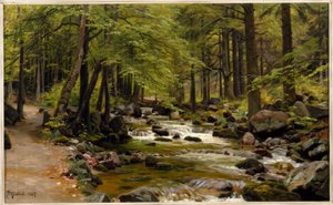 Waldbach im Frühling