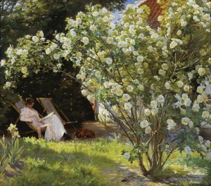 Rosen. Marie Krøyer sitzt im Liegestuhl im Garten von Frau Bendsens Haus von Peder Severin Krøyer