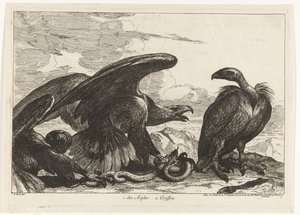 Geier und ein Adler mit Schlange