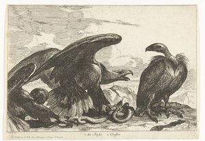 Geier und ein Adler mit Schlange