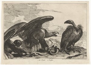 Geier und ein Adler mit Schlange