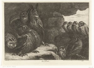 Eulen in einer Höhle (Vögel aus der Menagerie von Versailles) von Peeter Boel (attributed to)