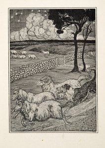 Ein hundeartiger Schafsdieb, aus Hundert Anekdoten über Tiere, veröffentlicht 1924 von Percy J. Billingshurst