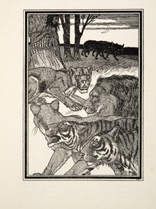Eine dankbare Löwin, aus Hundert Anekdoten von Tieren, veröffentlicht 1924