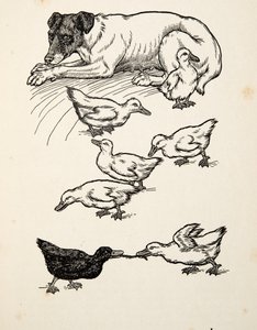Eine ungewöhnliche Amme, aus Hundert Anekdoten über Tiere, veröffentlicht 1924 von Percy J. Billingshurst