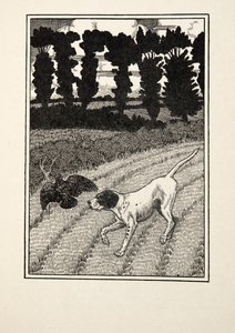 Den Vogelfänger täuschen, aus Hundert Anekdoten über Tiere, veröffentlicht 1924 von Percy J. Billingshurst
