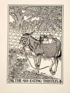 Der Esel, der Disteln frisst, aus Hundert Fabeln von Aesop, veröffentlicht 1903 von Percy J. Billingshurst
