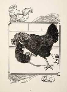 Der Heldentum einer Henne, aus Hundert Anekdoten über Tiere, veröffentlicht 1924
