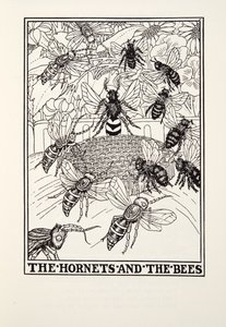 Die Hornissen und die Bienen, aus Fontaine Fabeln, veröffentlicht 1905 (Gravur)