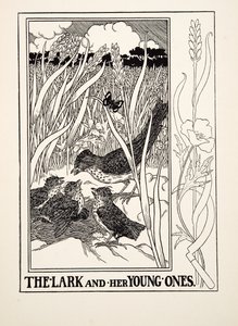 Die Lerche und ihre Jungen, aus Hundert Fabeln von Äsop, veröffentlicht 1903 (Gravur)