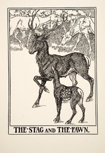 Der Hirsch und das Rehkitz, aus Hundert Fabeln von Äsop, veröffentlicht 1903 von Percy J. Billingshurst