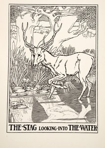 Der Hirsch, der ins Wasser schaut, aus Hundert Fabeln von Äsop, veröffentlicht 1903 (Gravur)