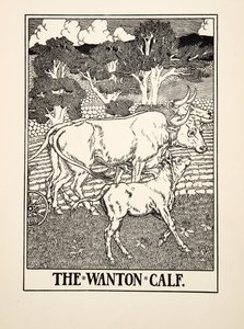 Das lüsterne Kalb, aus Hundert Fabeln von Aesop, veröffentlicht 1903