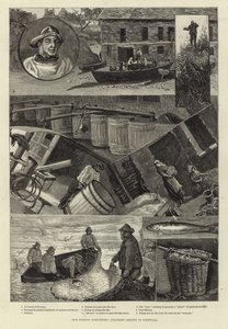 Unsere Fischereiindustrie: Pilchard-Seining in Cornwall von Percy Robert Craft