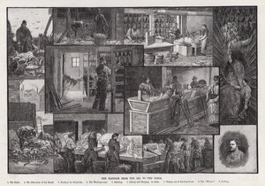 Der Schellfisch vom Meer bis zum Tisch (Gravur) von Percy Robert Craft