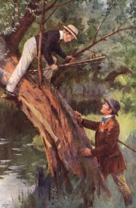 Jetzt kommst du sofort herunter (Farblithografie) von Percy Tarrant
