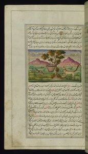 Ein Fuchs und eine Trommel aus Lichter von Canopus von Persian School