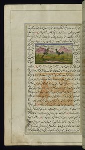 Ein Falke und eine Henne aus Lichter von Canopus von Persian School