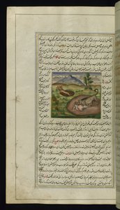 Ein Schakal frisst einen Hasen aus Lichter von Canopus, 1847 von Persian School