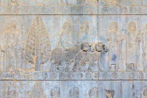 Basreliefs an den Wänden des Apadana-Palastes und der Treppe, Persepolis, Iran von Persian School