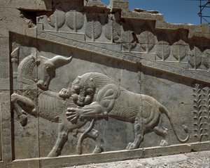 Kampf zwischen einem Stier und einem Löwen - Reliefs der östlichen Treppe der Apadana, 6. Jahrhundert v. Chr. von Persian School