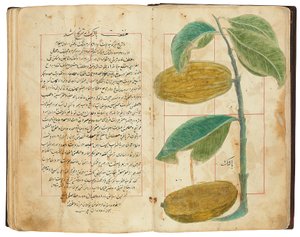 Hassan Bin Baqir Bin Jarrah: Gulzar Al-Rayahin, Qajar Iran von Persian School