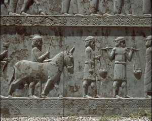 Unterworfene Völker bringen Geschenke zu Darius I. Reliefs der östlichen Treppe der Apadana, 6. Jahrhundert v. Chr. von Persian School
