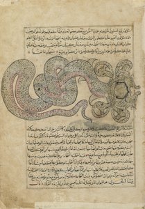 Die Seeschlange (al-Tannin), Folio aus Ajaib al-makhluqat (Wunder der Schöpfung) von al-Qazvini, Irak oder Osttürkei