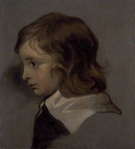 Kopf eines jungen Jungen von Peter (follower of) Lely