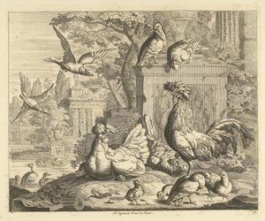 Hahn, Henne mit Küken und andere Vögel in einem Garten mit antiken Ruinen von Peter Casteels (III)