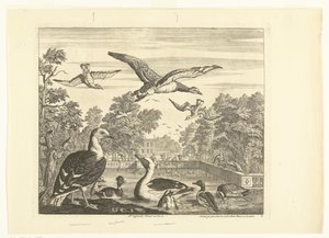 Möwen und Enten in einem Vogelteich (Verschiedene Vögel) von Peter Casteels (III)