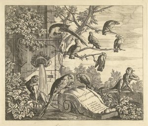 Papageien und Äffchen bei einem Gartenbrunnen (Verschiedene Vögel) von Peter Casteels (III)