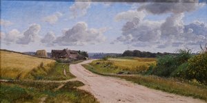Landstraße auf Seeland