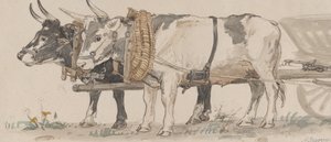 Zwei Ochsen ziehen einen Karren, 1874