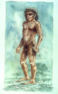 Boxgrove-Mensch, prähistorisch von Peter Dunn