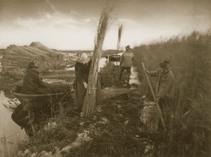 Während der Schilfernte, Leben und Landschaft auf den Norfolk Broads, ca. 1886 von Peter Emerson und Thomas Goodall