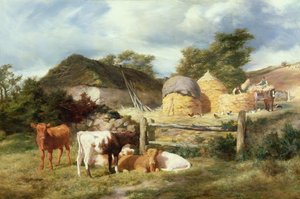 Ein Hochland-Croft, 1873