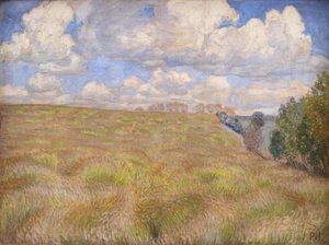 Ein Feld mit wogendem Roggen