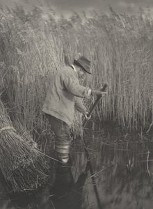 Ein Schilfschneider bei der Arbeit, 1886. Schöpfer: Dr. Peter Henry Emerson, Thomas Frederick Goodall von Peter Henry Emerson, Thomas Frederick Goodall
